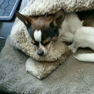 Meet your Posher, Rhonda